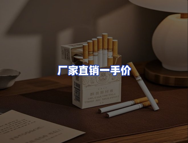 专业团队